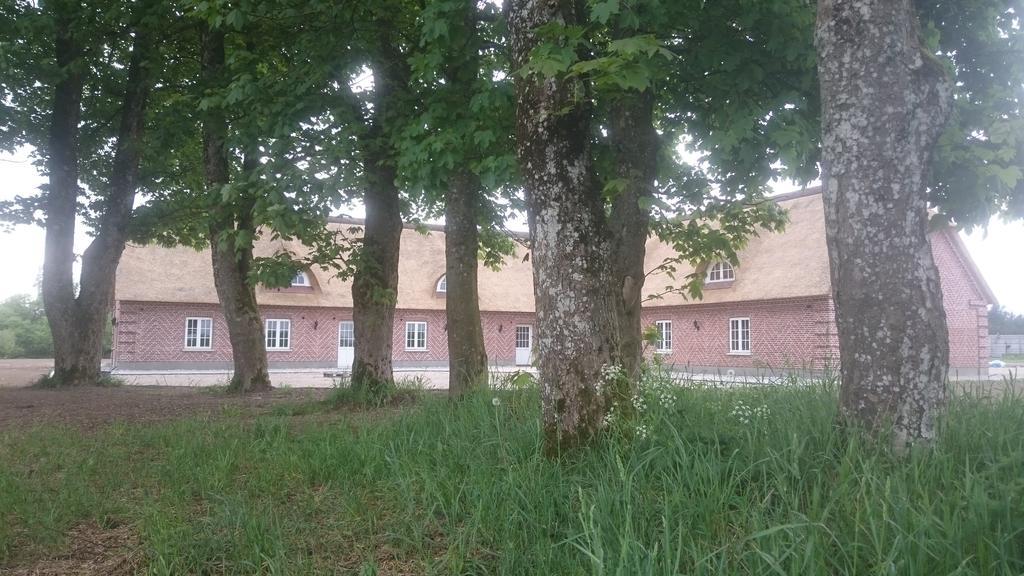 Aagaarden Appartement Billund Buitenkant foto